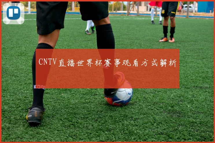 CNTV直播世界杯赛事观看方式解析
