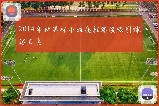 2014年世界杯小姐亮相赛场吸引球迷目光