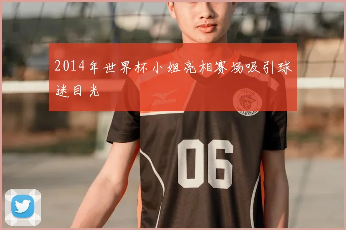 2014年世界杯小姐亮相赛场吸引球迷目光