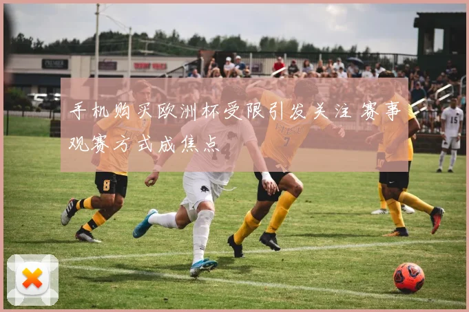 手机购买欧洲杯受限引发关注 赛事观赛方式成焦点