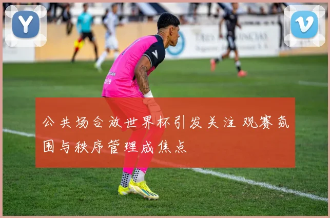 公共场合放世界杯引发关注 观赛氛围与秩序管理成焦点